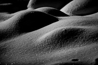 Snow 6