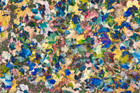 Colorful Leaves 1