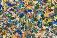 Colorful Leaves 3